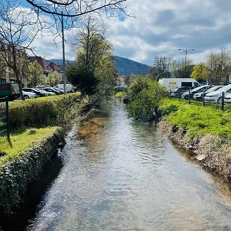 Festwiese - Modernes Apartment Nahe Neustadter Innenstadt Neustadt an der Weinstraße Buitenkant foto