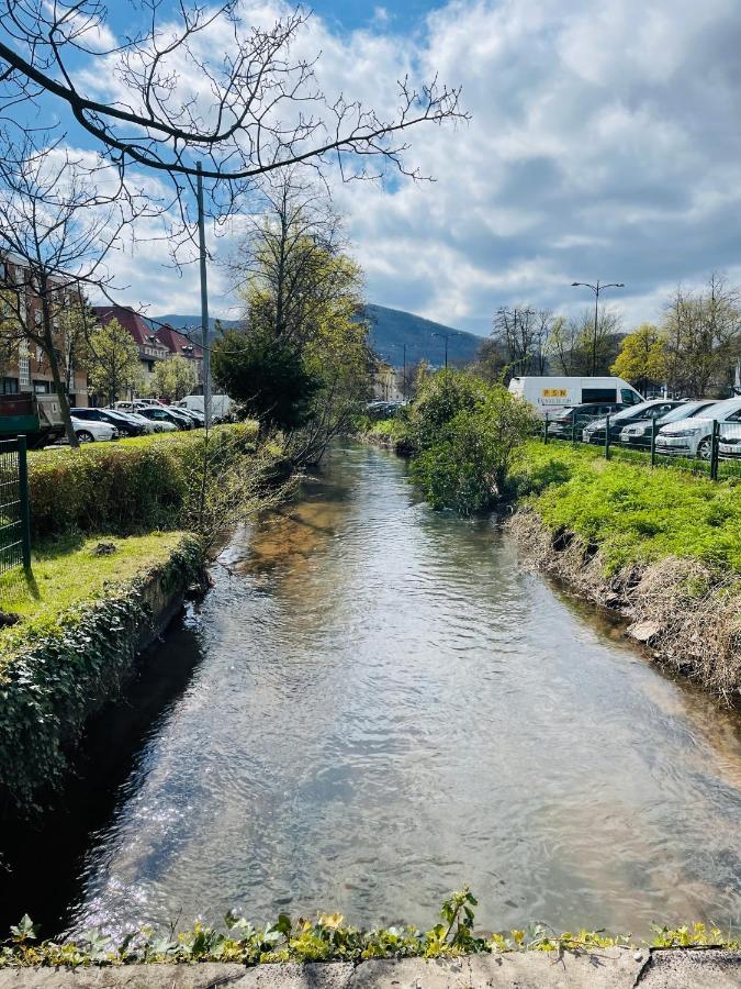 Festwiese - Modernes Nahe Neustadter Innenstadt