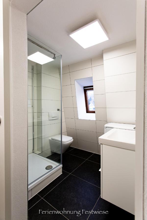 Apartment Festwiese - Modernes Nahe Neustadter Innenstadt *