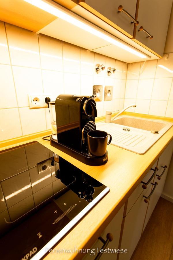 Apartment Festwiese - Modernes Nahe Neustadter Innenstadt